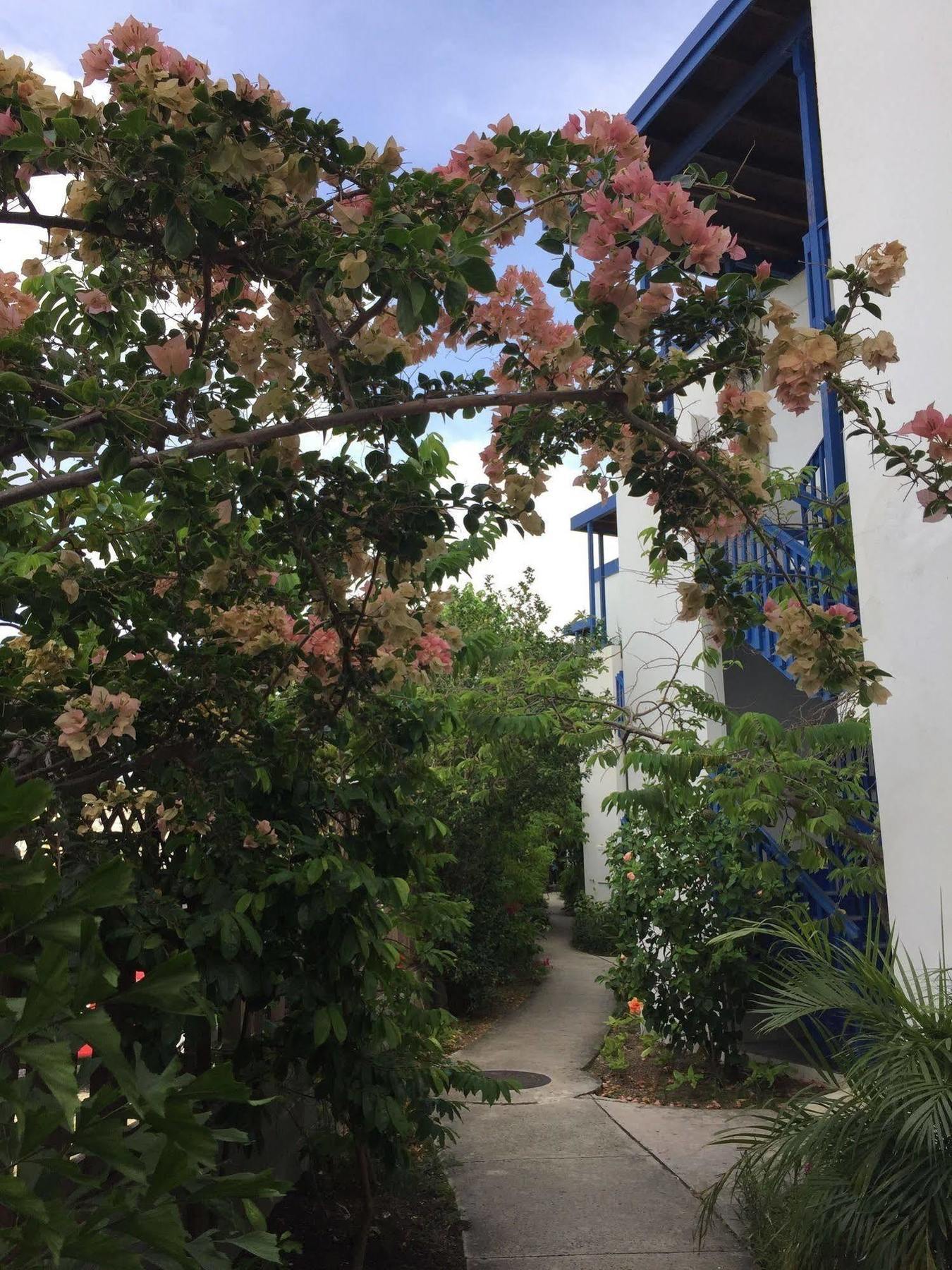 Holger Danske Hotel Christiansted Exterior photo